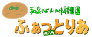 体験農園　ふぁっとりあ きらら