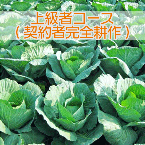 上級者コース(契約者完全耕作)