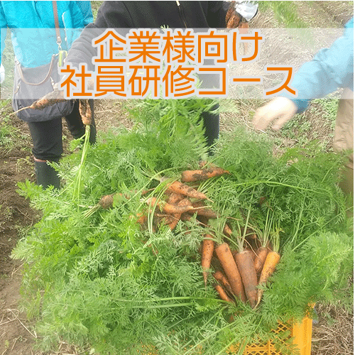 企業様向け社員研修コース